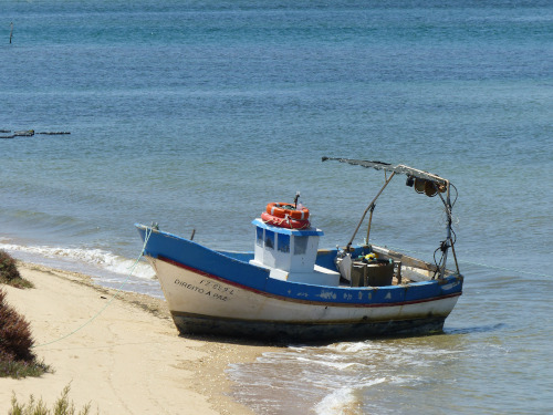 BUCHE MEER Portugal Algarve Fuseta