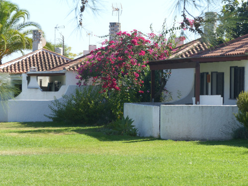 BUCHE MEER Portugal Algarve Pedras del Rei Bungalows