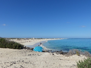 BUCHE MEER Fuerteventura Dünenstrand Corralejo