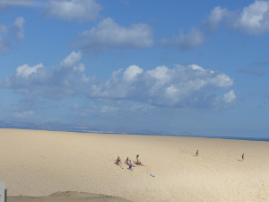 BUCHE MEER Fuerteventura Dünen