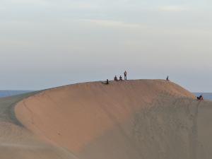 BUCHE MEER Gran Canaria Dünen