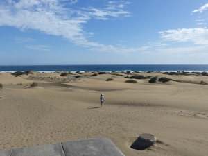 BUCHE MEER Gran Canaria Dünen