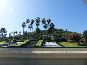 BUCHE MEER Gran Canaria Parque Doramas