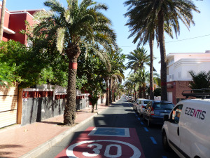 BUCHE MEER Gran Canaria Palmenstraße