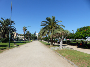 BUCHE MEER Gran Canaria Promenade