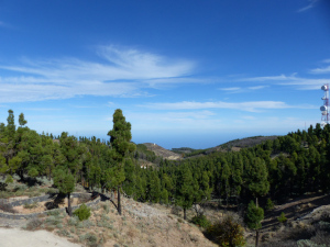 BUCHE MEER Gran Canaria Region Pico de las Nieves