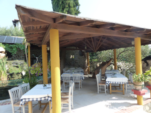 BUCHE MEER Griechenland Chalkidiki Geranion Village Taverne