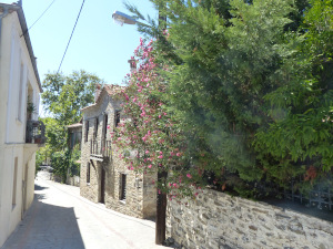 BUCHE MEER Griechenland Chalkidiki Nikiti Altstadt