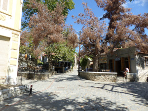 BUCHE MEER Griechenland Chalkidiki Nikiti Altstadt Taverne Barcarolla