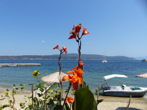 BUCHE MEER Griechenland Chalkidiki Athos Amoliani