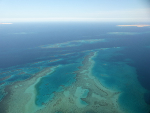 BUCHE MEER Ägypten Hurghada Rotes Meer mit Riffen