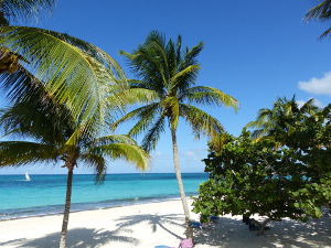 BUCHE MEER Kuba Strand Esmeralda