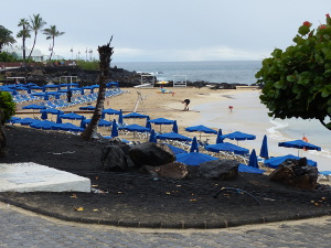 BUCHE MEER Lanzarote Playa Flamingos