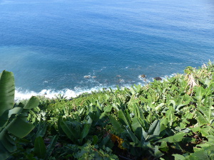 BUCHE MEER Madeira Bananenplantagen bei Ponta do Sol