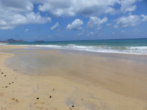 BUCHE MEER Porto Santo West 9km Strand