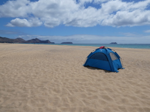 BUCHE MEER Porto Santo Strandmuschel von Outdoorer123