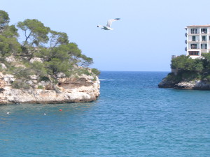 BUCHE MEER Mallorca Cala Figuera