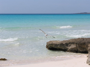 BUCHE MEER Mallorca Strand - Es Trenc