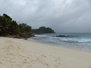 BUCHE MEER Seychellen Petite Police Bay