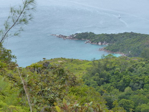 BUCHE MEER Seychellen Anse Lazio