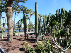 BUCHE MEER Teneriffa Puerto de la Cruz Naturstrand