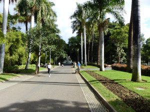 BUCHE MEER Teneriffa Santa Cruz