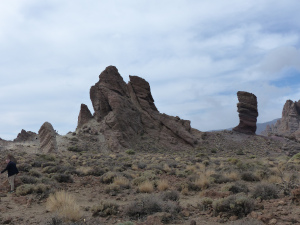 BUCHE MEER Teneriffa Nationalpark Teide