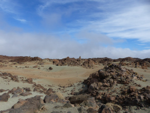 BUCHE MEER Teneriffa Nationalpark Teide