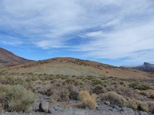 BUCHE MEER Teneriffa Nationalpark Teide