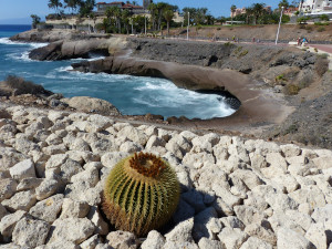 BUCHE MEER Teneriffa Costa Adeje