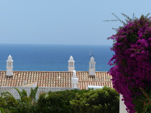 BUCHE MEER Portugal AlgarveLuz